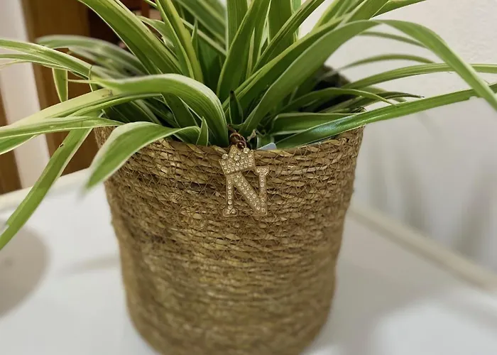 Apartmán Nikaia 1 Tirana