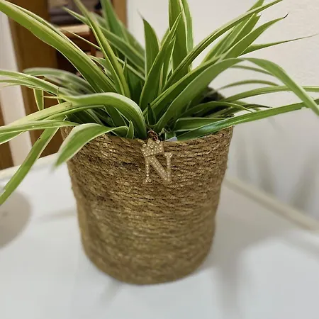 Apartamento Nikaia 1 Tirana